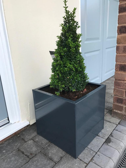 Cube Planter